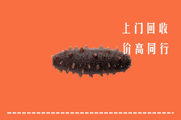镶黄旗回收海参