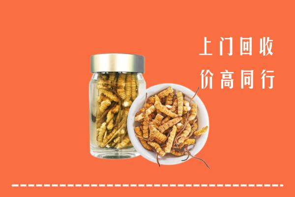 镶黄旗回收冬虫夏草